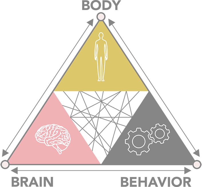 EC_BBBTriangle