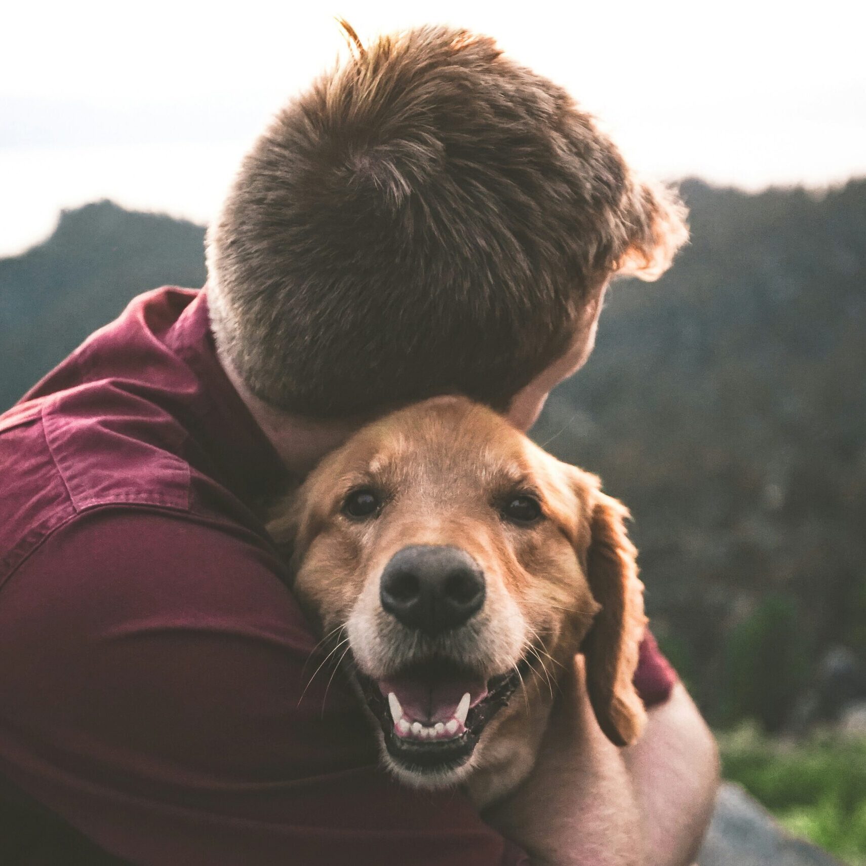 eric-ward-ISg37AI2A-s-unsplash (1) eric-ward-ISg37AI2A-s-unsplash (1)